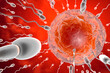 © Spectral/Westend61 - 3D Rendered Illustration, visualisation of sperm cells racing to a egg to fertilise