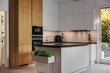 © Mareen Fischinger, Photographer/Westend61 - Modern kitchen