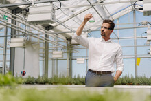 Male Scientist Holding Conical Flask While Standing In Greenhouse
