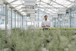 © KNSY/Westend61 - Male entrepreneur standing amidst plants while working in greenhouse