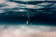 © Josep Rovirosa/Westend61 - Underwater view of legs of man walking on sandy sea bottom