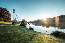 Germany, Munich, Olympic Park And Olmypic Lake, Grey Geese