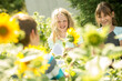 © Pavel Horak/Westend61 - School children examining sunflower field