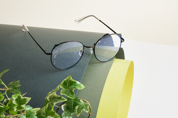 plant and eye glasses on rolled green paper, vision test concept, beautiful stylish fashion accessories in optics