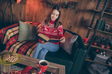 Canvas Print - Photo of relaxed dreamy lady sit comfy couch read book fairy tail enjoy dream in decorated x-mas home indoors