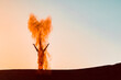 © Valentin Weinhaeupl/Westend61 - Sultanate Of Oman, Wahiba Sands, Mid adult man is playing with sand in the desert