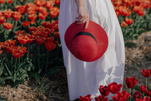 Crop View Of Woman In A Tulip Field Holding Red Straw Hat