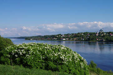 Canvas Print - Tutaev, Russia - May, 2021: Blooming lilac bushes on the high bank of the Volga River and a view of the city of Tutaev, Borisoglebskaya side