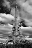 Fototapeta Boho - Paris, France-september  23, 2019:  The Eiffel Tower is a wrought-iron lattice tower on the Champ de Mars in Paris, France. It is named after the engineer Gustave Eiffel