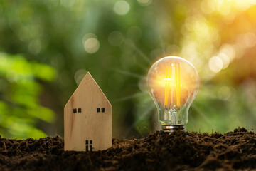 A bright light bulb and simulated wooden house on the mound. The concept for realty, economy, finance, banking. Daytime, nature, clear air, the light of shine in the morning. Blurred, bokeh background