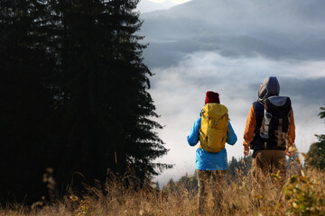 Wall Mural - Tourists with backpacks in nature on sunny day, back view. Space for text