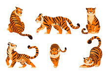 Tigers Flat Set