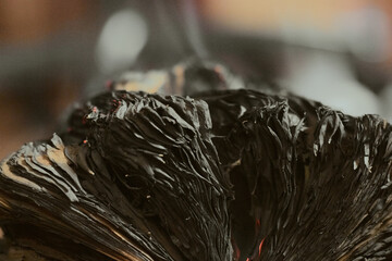 Canvas Print - Closeup shot of a burnt open book pages