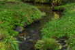 Tetrivci creek in Sumava national park in autumn day