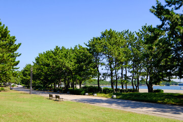 神奈川県横浜市金沢区の海の公園