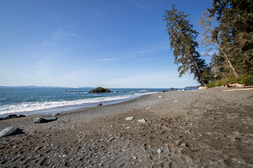 Wall Mural - View of an empty beach on Sombrio Beach, Vancouver Island, British Columbia, Canada