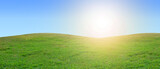 Fototapeta Kuchnia - summer and green field with blue sky