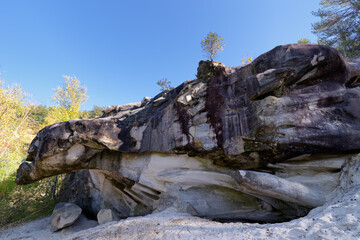 Wall Mural - White sand of Fontainebleau in the french Gatinais regional nature park