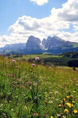 Poster - Seiseralm in den Dolomiten