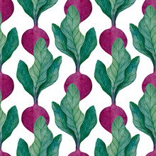 Watercolor Beets Growing In Garden Beds: Seamless Pattern Hand-drawn Vegetables Isolated On A White Background. Green Leaves And Red Roots. Fresh Wallpaper Print. Summer Fabric Texture