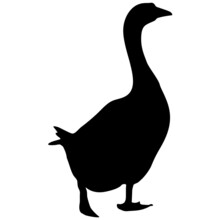 Silhouette Of A Grey Goose On A White Background