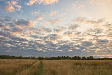 Wall Mural - beautiful red pink dawn by the river