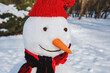 © phpetrunina14 - isolated snowman in red hat