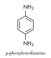 Wall Mural - p-Phenylenediamine (PPD) hair dye molecule. Also precursor in polymer synthesis. Known contact allergen, possibly carcinogenic. Skeletal formula.