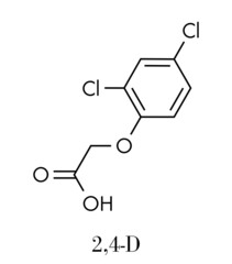 Poster - 2,4-D (2,4-dichlorophenoxyacetic acid) Agent Orange ingredient. Synthetic auxin plant hormone, used as pesticide and herbicide and ingredient of Agent Orange. Skeletal formula.