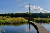 Fototapeta Tulipany - Hilversum nature reserve and transmitter mast. Board walk crossing a lake with clear reflections.