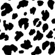 black and white leopard seamless pattern vector