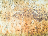 Fototapeta Dmuchawce - old wall texture
