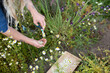 © StockvanSaar/Stocksy - Growing food