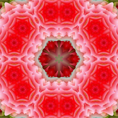 Poster - Abstract kaleidoscope background in red and green colors