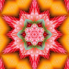 Poster - Abstract kaleidoscope background in bright colors