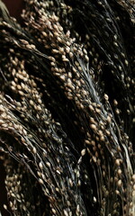 Wall Mural - Dry grass plant pattern top view on dark  background . Interior poster.Minimal floral card