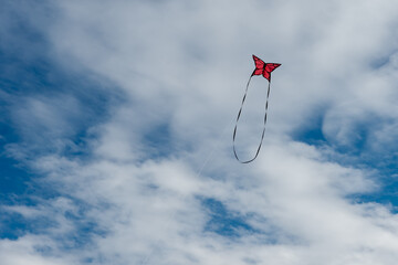 Wall Mural - colorful kites flying over the sky