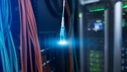 Wall Mural - computer concept. optical cable on blurred server background.