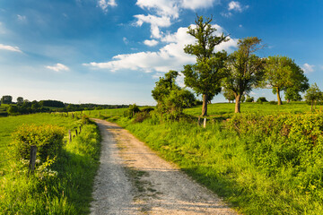 Wall Mural - Hill Landscape Near Aachen, Germany