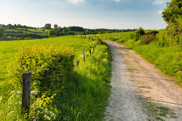 Wall Mural - Hill Landscape Near Aachen, Germany