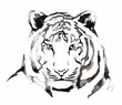 black and white painting with water and ink draw tiger illustration