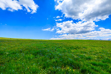 Green Grass Field With Blue Sky Background.Green Grassland Landscape In Xinjiang,China.