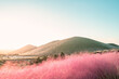해질녘에 핑크뮬리 밭 뒤로 아름다운 오름이 보인다. 