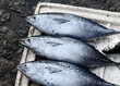 © Phuong - Selling fish at rural market in Southern Vietnam