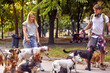 © luckybusiness - Young dog walkers are enjoying the work while walking in the park with a bunch of dogs. Pets, walkers, service