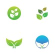 © Taswintariban - leaf logo and vector images