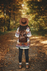 Wall Mural - Stylish woman with backpack in hat walking in sunny autumn woods. Young female traveler hiking in beautiful fall forest. Travel and wanderlust concept, space for text. Back view