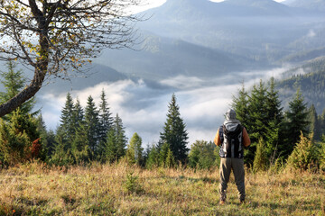 Wall Mural - Tourist with backpack in mountains on sunny day, back view. Space for text