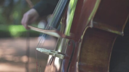 Sticker - A closeup shot of a musician playing the cello