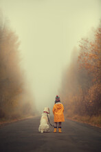 A Little Girl In A Yellow Jacket And A Red Hat With A Big White Dog Walks Along The Road In The Autumn Forest.Fog. Rear View. Space For Text. Free Space.